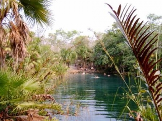 Cenotes en la selvas